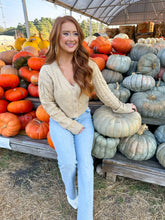 Load image into Gallery viewer, Teddi Cable Knit Cardigan- Taupe