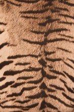 Load image into Gallery viewer, Wild Affair Lace Trim Shorts