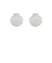 Load image into Gallery viewer, Sea Shell Metal Earrings
