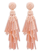 Load image into Gallery viewer, Seed Beads Tassel Earrings
