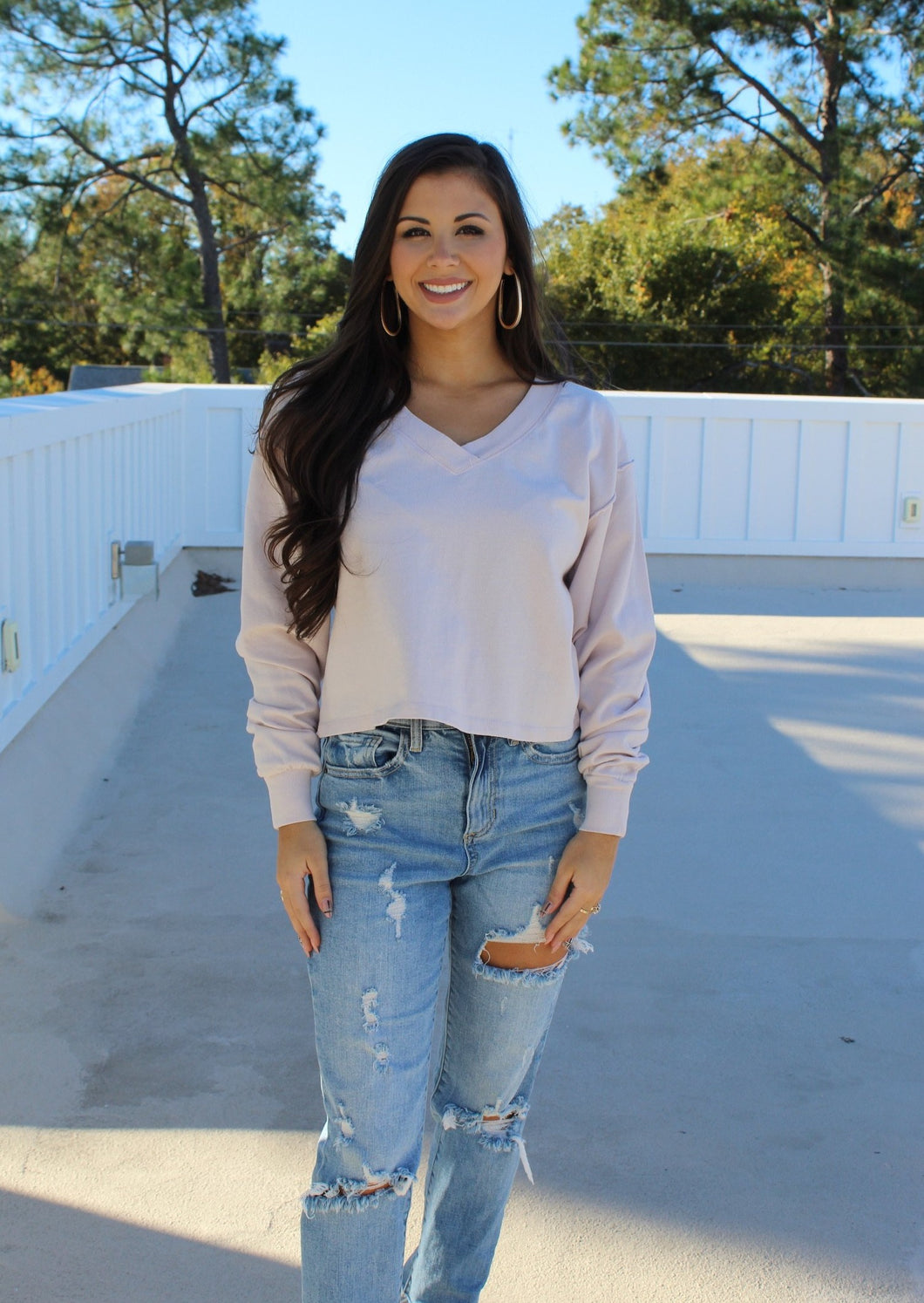Logan V Neck Long Sleeve Crop- Lilac Fog